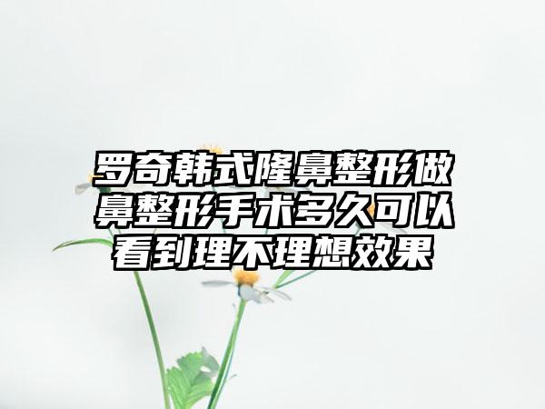 罗奇韩式隆鼻整形做鼻整形手术多久可以看到理不理想效果