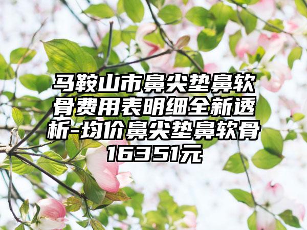 马鞍山市鼻尖垫鼻软骨费用表明细全新透析-均价鼻尖垫鼻软骨16351元