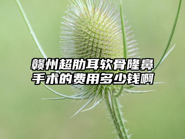 赣州超肋耳软骨隆鼻手术的费用多少钱啊