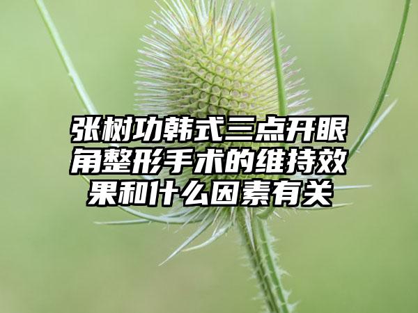 张树功韩式三点开眼角整形手术的维持效果和什么因素有关