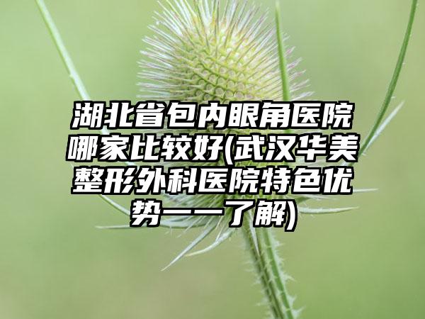 湖北省包内眼角医院哪家比较好(武汉华美整形外科医院特色优势一一了解)