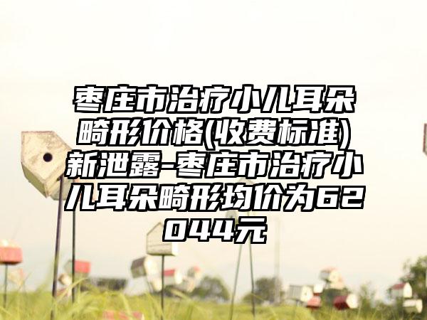 枣庄市治疗小儿耳朵畸形价格(收费标准)新泄露-枣庄市治疗小儿耳朵畸形均价为62044元