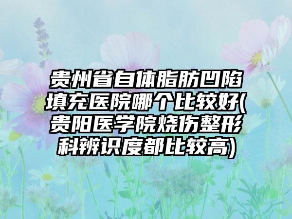 贵州省自体脂肪凹陷填充医院哪个比较好(贵阳医学院烧伤整形科辨识度都比较高)