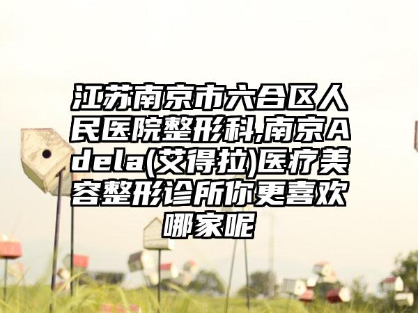 江苏南京市六合区人民医院整形科,南京Adela(艾得拉)医疗美容整形诊所你更喜欢哪家呢