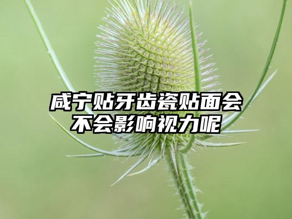 咸宁贴牙齿瓷贴面会不会影响视力呢