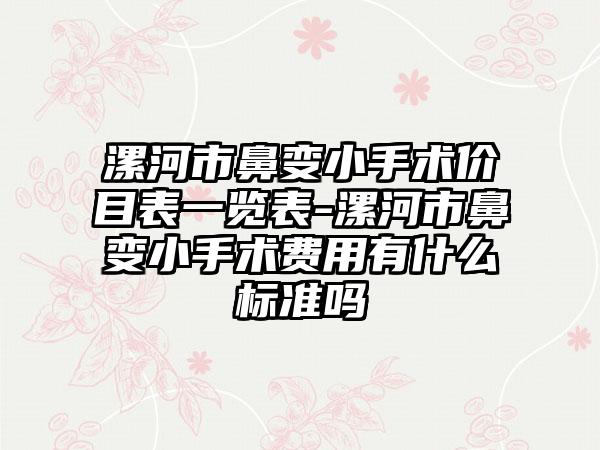 漯河市鼻变小手术价目表一览表-漯河市鼻变小手术费用有什么标准吗