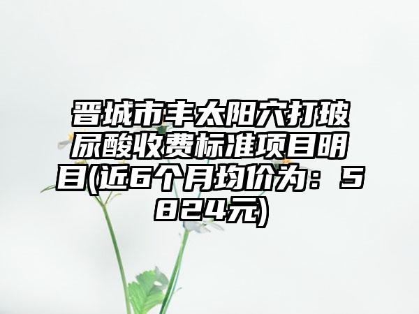 晋城市丰太阳穴打玻尿酸收费标准项目明目(近6个月均价为：5824元)