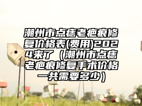 潮州市点痣老疤痕修复价格表(费用)2024来了（潮州市点痣老疤痕修复手术价格一共需要多少）