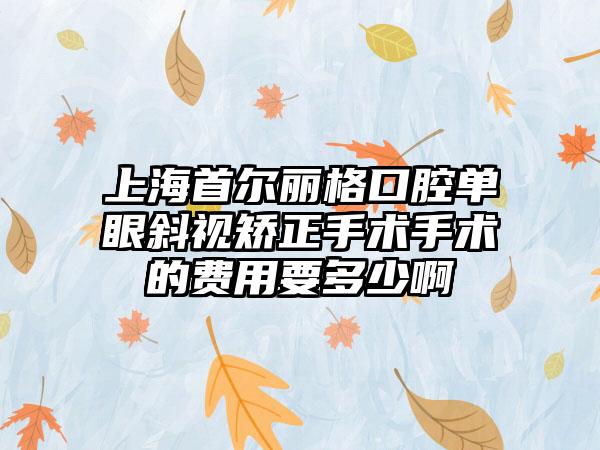 上海首尔丽格口腔单眼斜视矫正手术手术的费用要多少啊