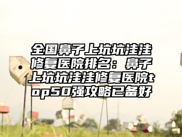 全国鼻子上坑坑洼洼修复医院排名：鼻子上坑坑洼洼修复医院top50强攻略已备好