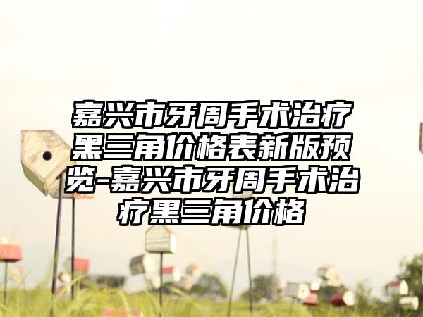 嘉兴市牙周手术治疗黑三角价格表新版预览-嘉兴市牙周手术治疗黑三角价格