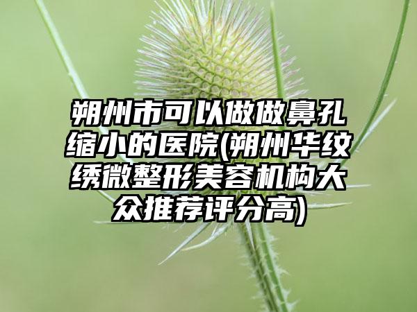 朔州市可以做做鼻孔缩小的医院(朔州华纹绣微整形美容机构大众推荐评分高)