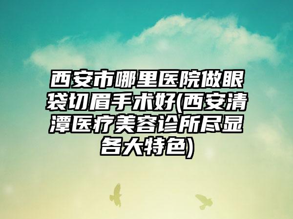 西安市哪里医院做眼袋切眉手术好(西安清潭医疗美容诊所尽显各大特色)