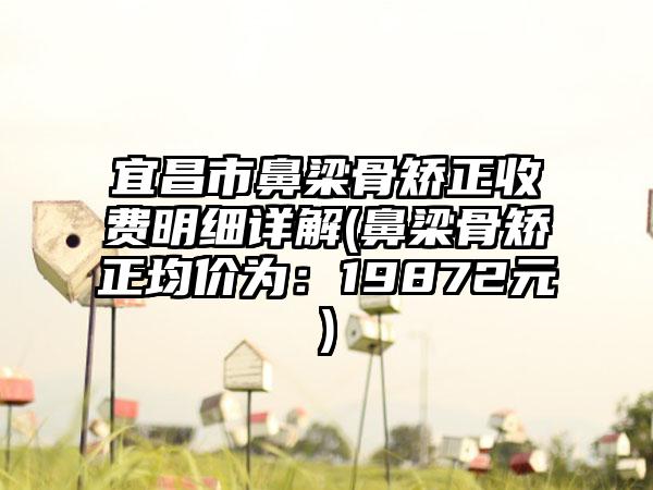 宜昌市鼻梁骨矫正收费明细详解(鼻梁骨矫正均价为：19872元)