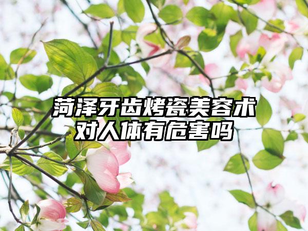 菏泽牙齿烤瓷美容术对人体有危害吗