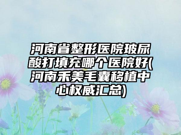 河南省整形医院玻尿酸打填充哪个医院好(河南禾美毛囊移植中心权威汇总)