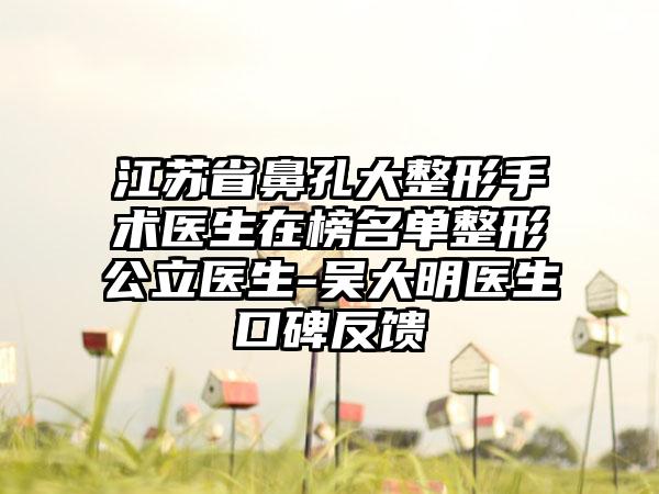 江苏省鼻孔大整形手术医生在榜名单整形公立医生-吴大明医生口碑反馈