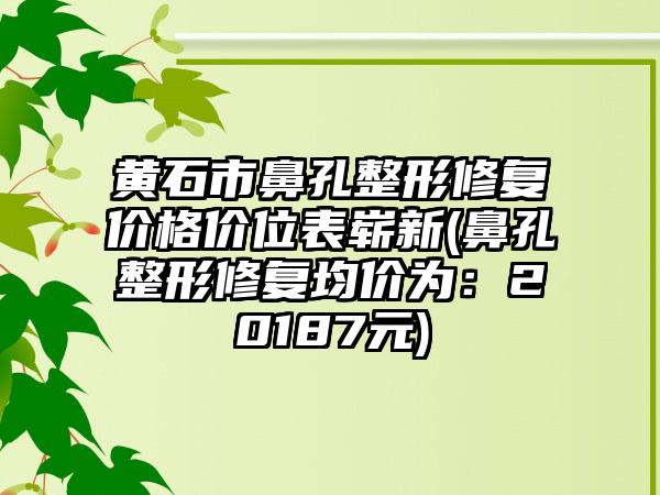 黄石市鼻孔整形修复价格价位表崭新(鼻孔整形修复均价为：20187元)