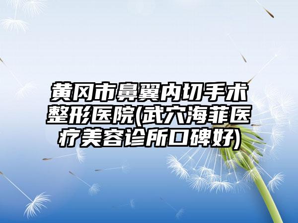 黄冈市鼻翼内切手术整形医院(武穴海菲医疗美容诊所口碑好)