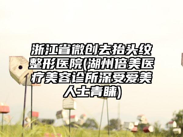 浙江省微创去抬头纹整形医院(湖州倍美医疗美容诊所深受爱美人士青睐)