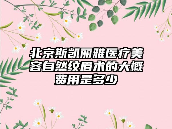 北京斯凯丽雅医疗美容自然纹眉术的大概费用是多少