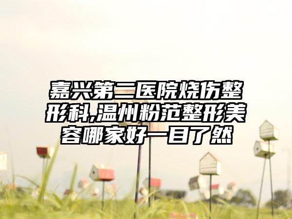 嘉兴第二医院烧伤整形科,温州粉范整形美容哪家好一目了然