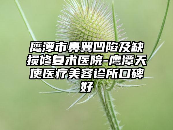 鹰潭市鼻翼凹陷及缺损修复术医院-鹰潭天使医疗美容诊所口碑好