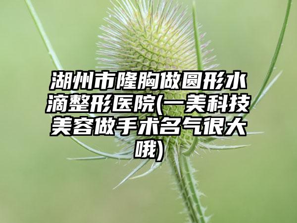 湖州市隆胸做圆形水滴整形医院(一美科技美容做手术名气很大哦)