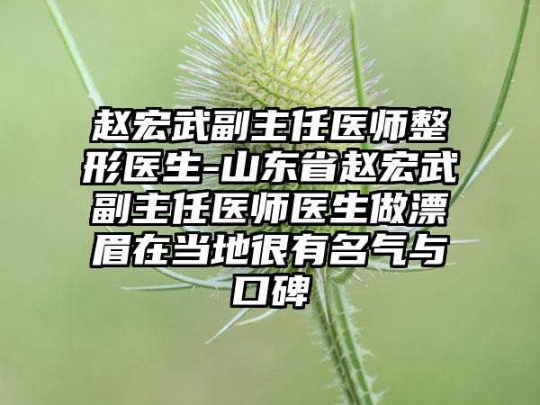 赵宏武副主任医师整形医生-山东省赵宏武副主任医师医生做漂眉在当地很有名气与口碑