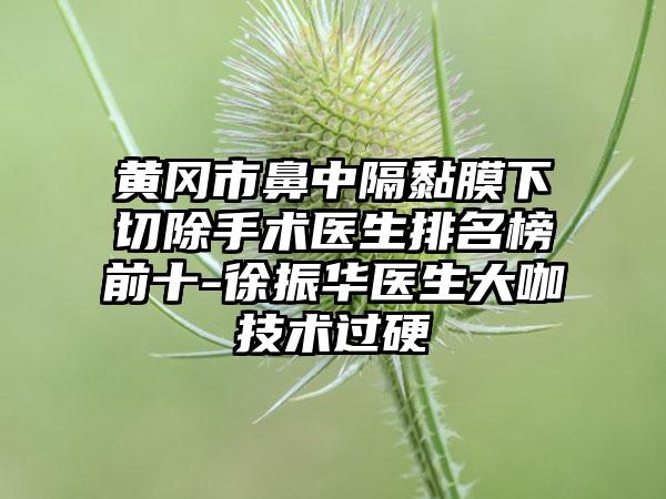 黄冈市鼻中隔黏膜下切除手术医生排名榜前十-徐振华医生大咖技术过硬