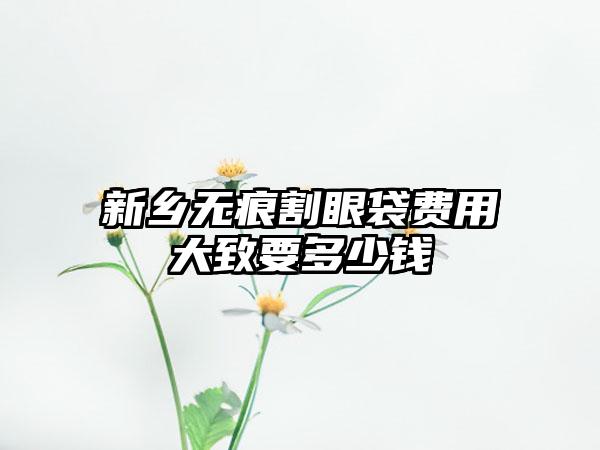 新乡无痕割眼袋费用大致要多少钱