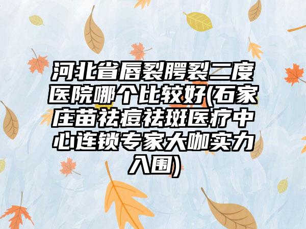 河北省唇裂腭裂二度医院哪个比较好(石家庄苗祛痘祛斑医疗中心连锁专家大咖实力入围)