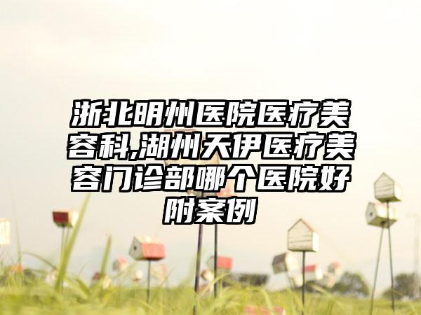 浙北明州医院医疗美容科,湖州天伊医疗美容门诊部哪个医院好附案例