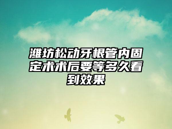 潍坊松动牙根管内固定术术后要等多久看到效果