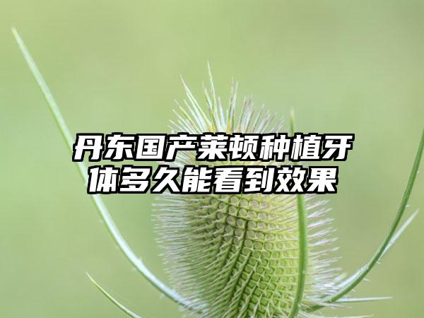 丹东国产莱顿种植牙体多久能看到效果