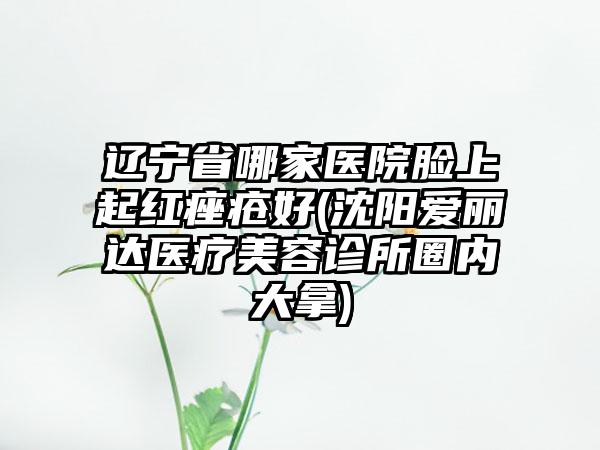 辽宁省哪家医院脸上起红痤疮好(沈阳爱丽达医疗美容诊所圈内大拿)