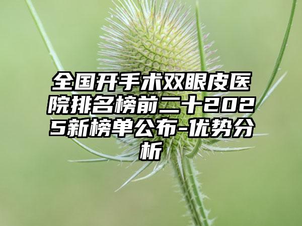 全国开手术双眼皮医院排名榜前二十2025新榜单公布-优势分析