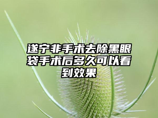 遂宁非手术去除黑眼袋手术后多久可以看到效果