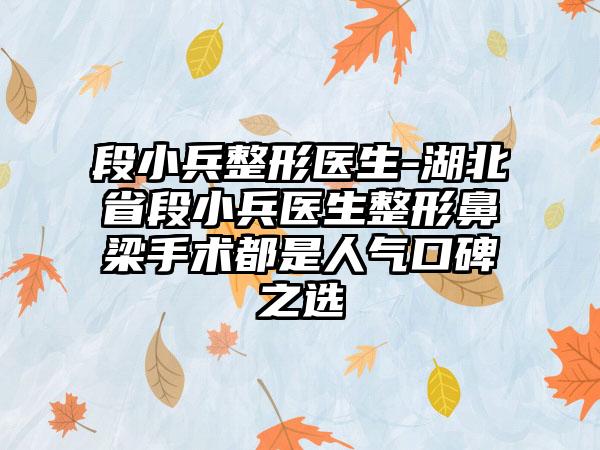 段小兵整形医生-湖北省段小兵医生整形鼻梁手术都是人气口碑之选