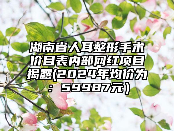 湖南省人耳整形手术价目表内部网红项目揭露(2024年均价为：59987元）