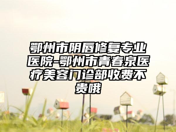 鄂州市阴唇修复专业医院-鄂州市青春泉医疗美容门诊部收费不贵哦