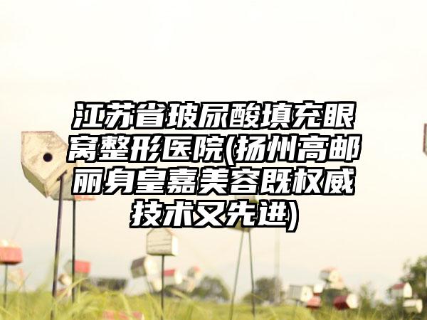 江苏省玻尿酸填充眼窝整形医院(扬州高邮丽身皇嘉美容既权威技术又先进)