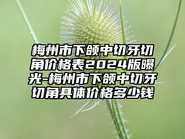 梅州市下颌中切牙切角价格表2024版曝光-梅州市下颌中切牙切角具体价格多少钱