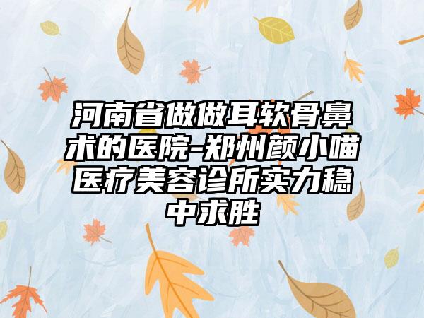 河南省做做耳软骨鼻术的医院-郑州颜小喵医疗美容诊所实力稳中求胜