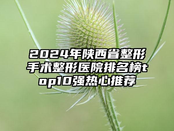 2024年陕西省整形手术整形医院排名榜top10强热心推荐