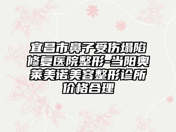 宜昌市鼻子受伤塌陷修复医院整形-当阳奥莱美诺美容整形诊所价格合理