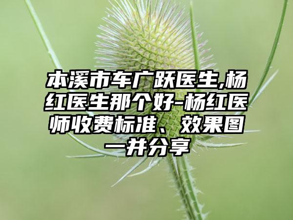 本溪市车广跃医生,杨红医生那个好-杨红医师收费标准、效果图一并分享