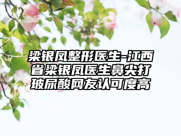 梁银凤整形医生-江西省梁银凤医生鼻尖打玻尿酸网友认可度高