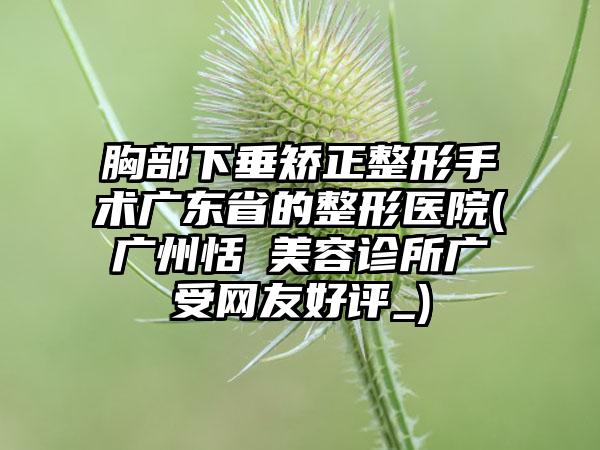 胸部下垂矫正整形手术广东省的整形医院(广州恬媄美容诊所广受网友好评_)