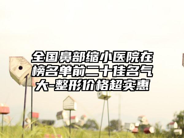 全国鼻部缩小医院在榜名单前二十佳名气大-整形价格超实惠